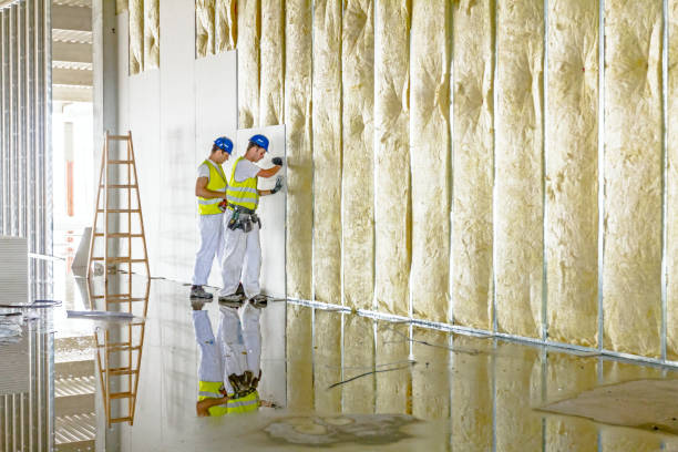 Best Commercial Insulation in Mission Viejo, CA